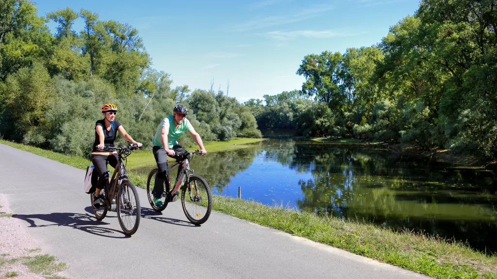 Radfahrer auf dem Rheinradweg