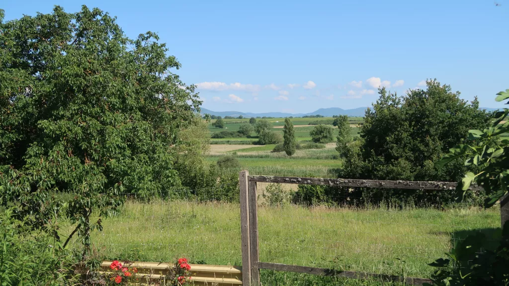 Wiesen und Felder in Winden mit Blick auf den Pfälzer Wald