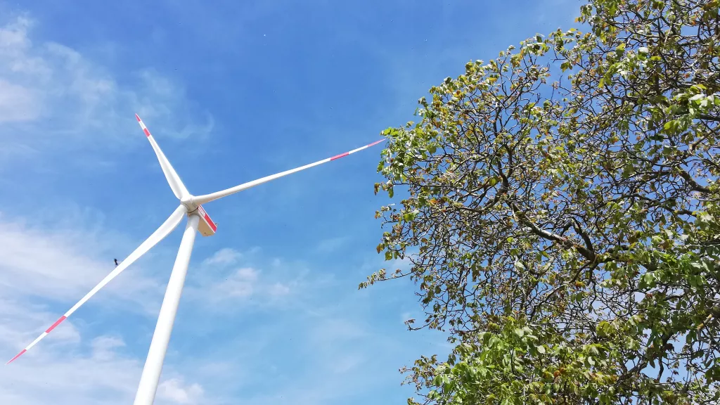 Windrad im Windpark Freckenfeld