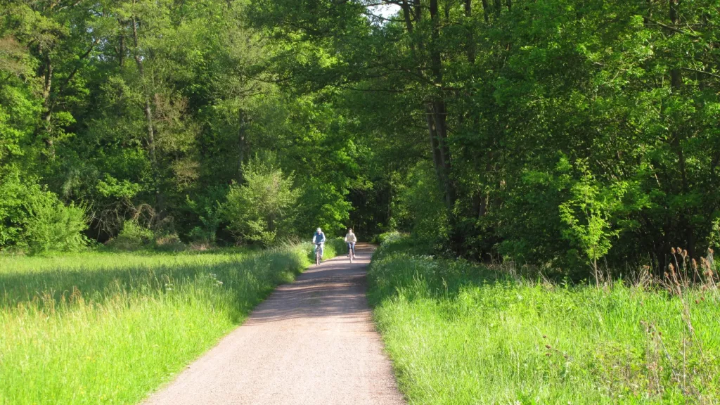 Radler im Bellheimer Wald