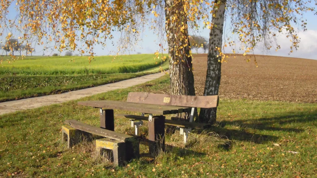 Rastplatz Birkenbänkel Vollmersweiler