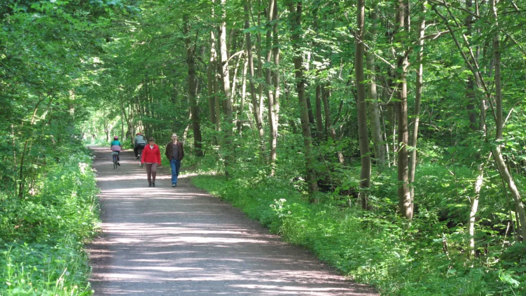 Wanderer im Bellheimer Wald