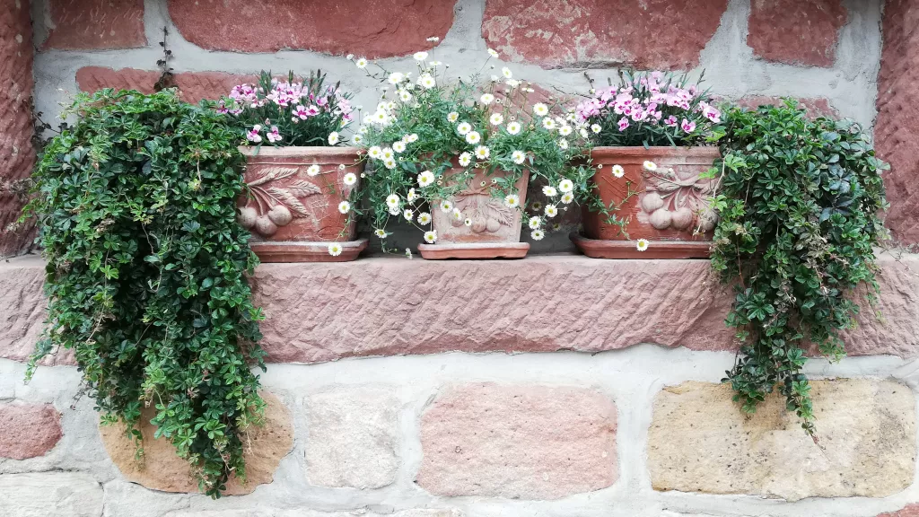 Blumenarrangement auf Fensterbank