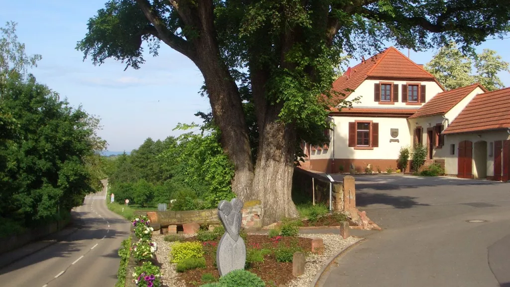 Rathaus mit Ulme in MInfeld 