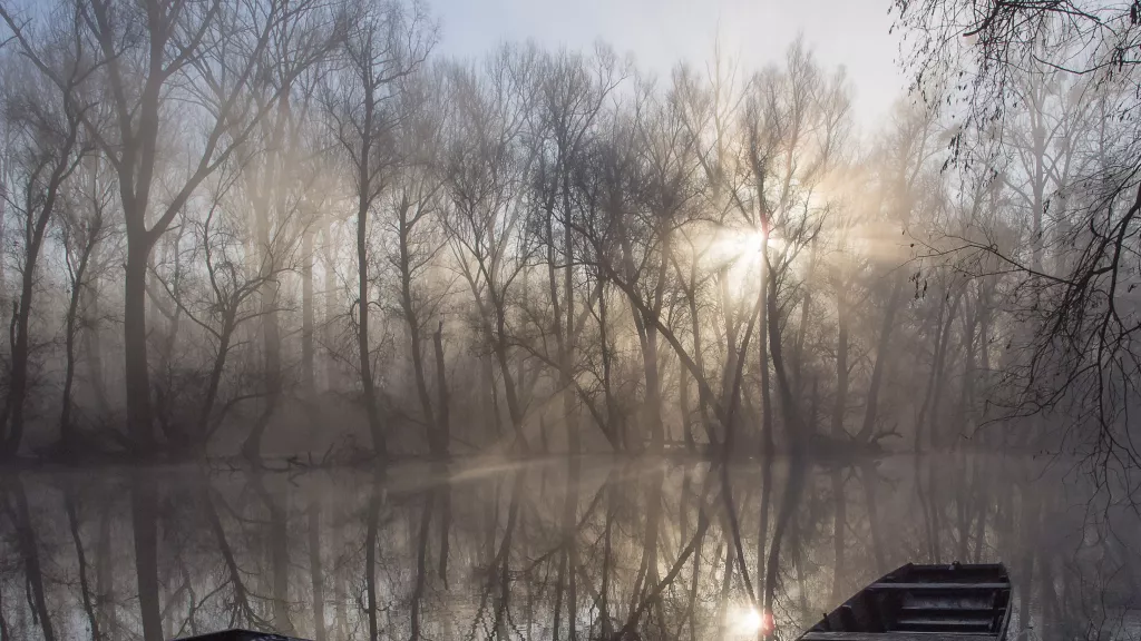 Lingenfelder Baggersee an einem Wintermorgen