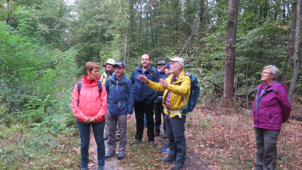 Wandergruppe mit Führer im Wald