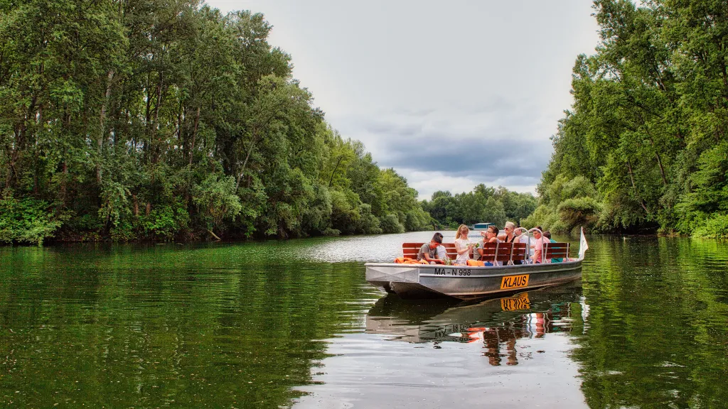 Ein Nachen mit mehreren Menschen gleitet über den idyllischen Altrhein
