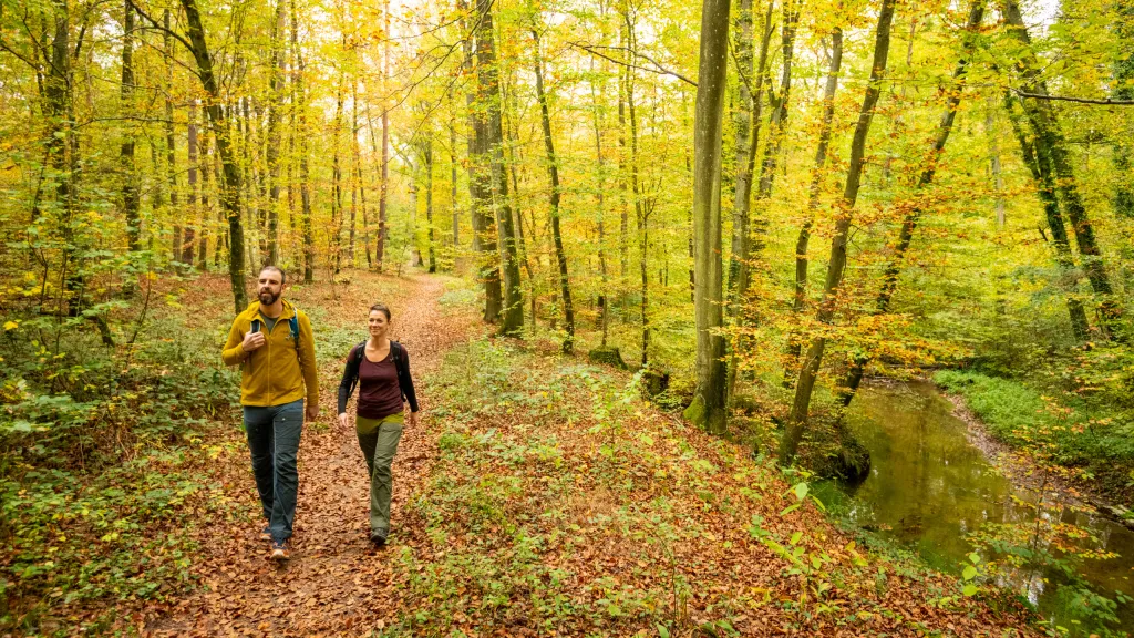 Ein Pärchen wandert durch den herbstlichen Bienwald