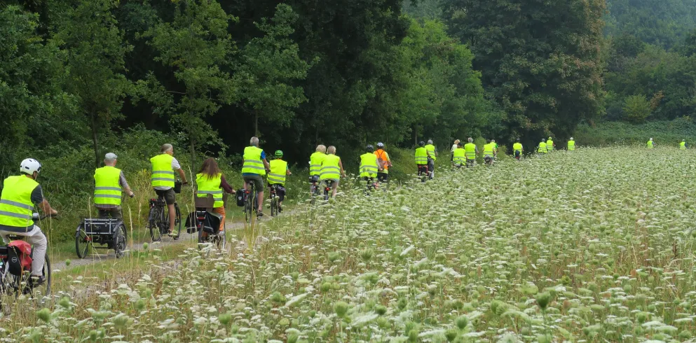 Radlergruppe am Waldrand unterwegs.