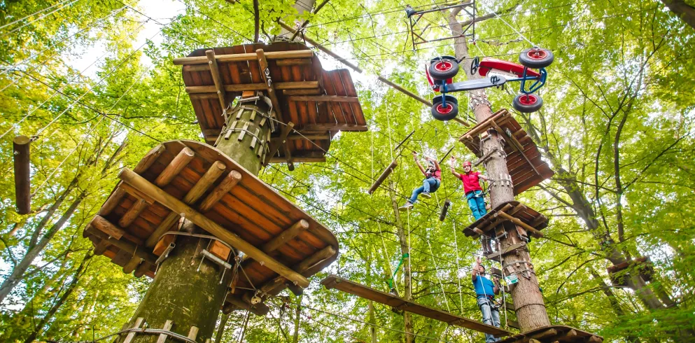 Spaß in den Baumwipfeln des Abenteuerparks