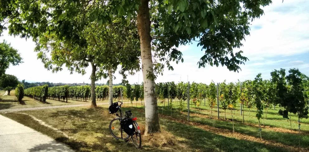 Radfahren auf der Hof zu Hof Tour