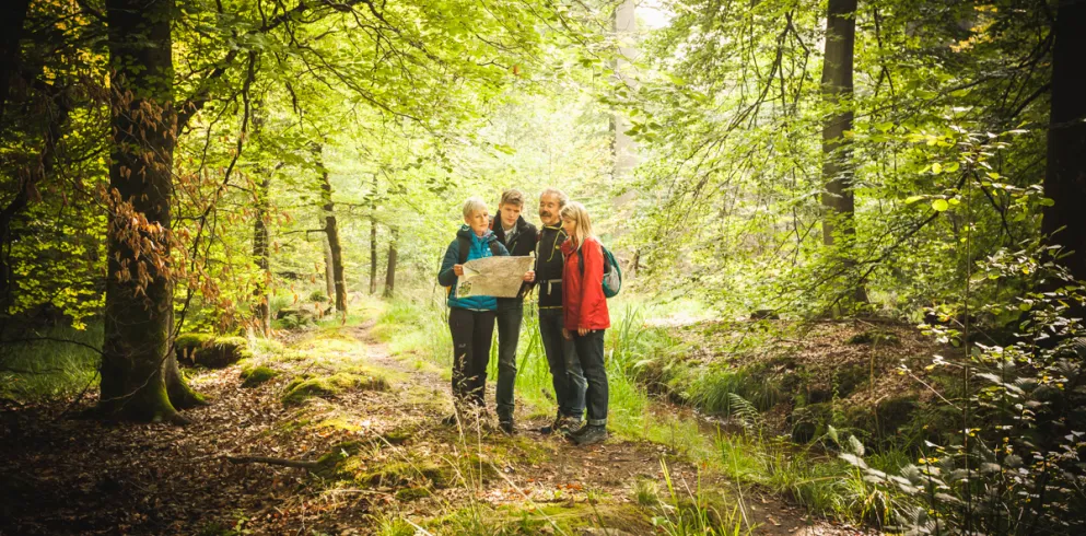 Wanderer studieren eine Karte bei einer Wanderung im Bienwald