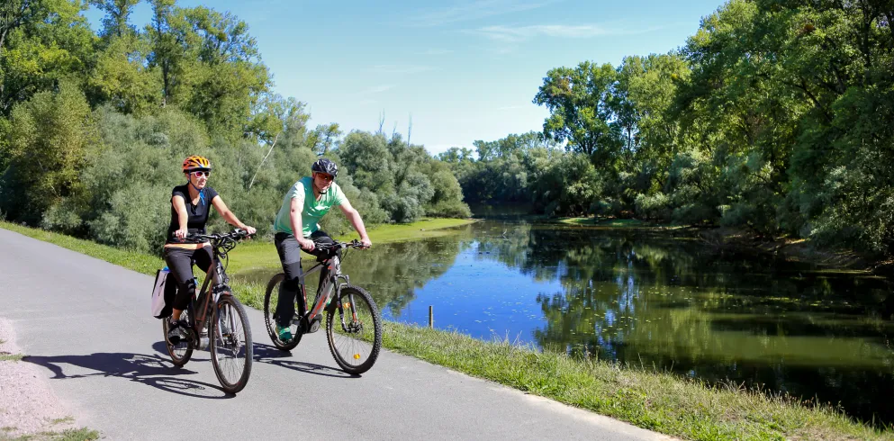 Radfahrer auf dem Rheinradweg