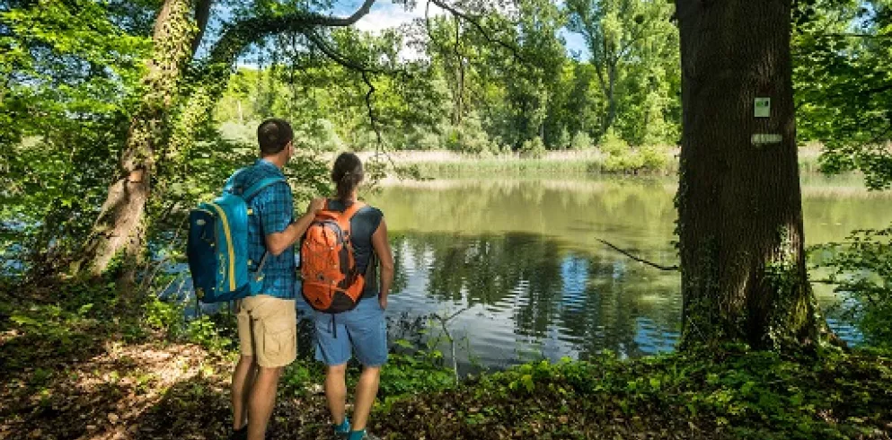 Der Treidlerweg - Premiumwandern mit Blick aufs Wasser