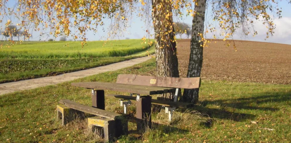 Rastplatz Birkenbänkel Vollmersweiler