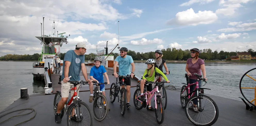 Radlergruppe am Rhein bei der Fähre Neuburg