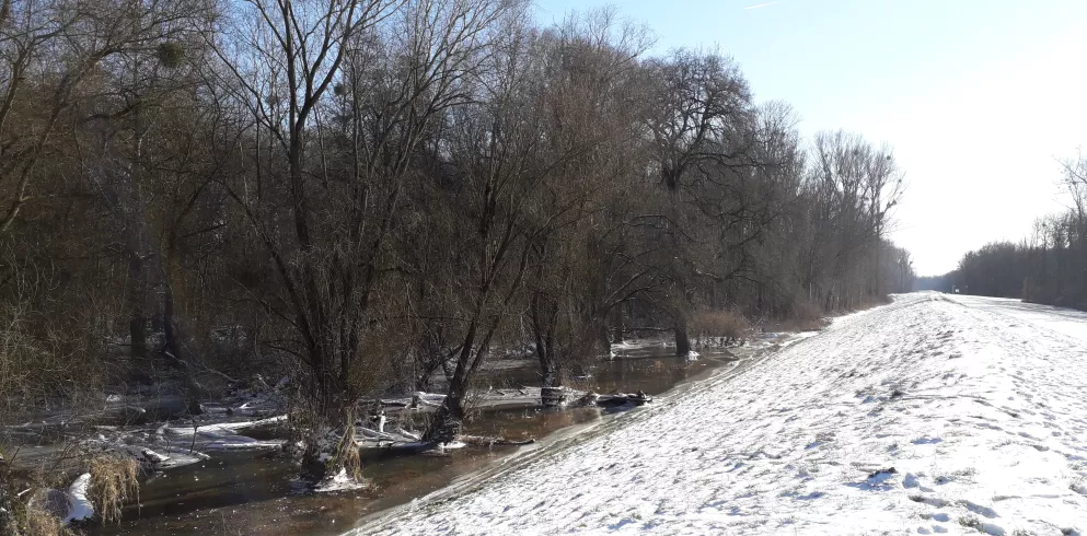 Am Treidlerweg im Winter