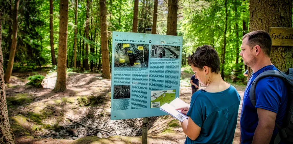 Wanderendes Ehepaar studiert eine Hinweistafel am Schaidter Westwallwanderweg