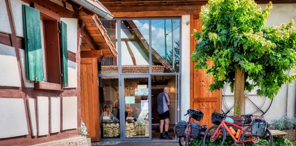 Hübsches Fachwerkhaus, dahinter eine sanierte Scheune mit großem gläsernen Eingang