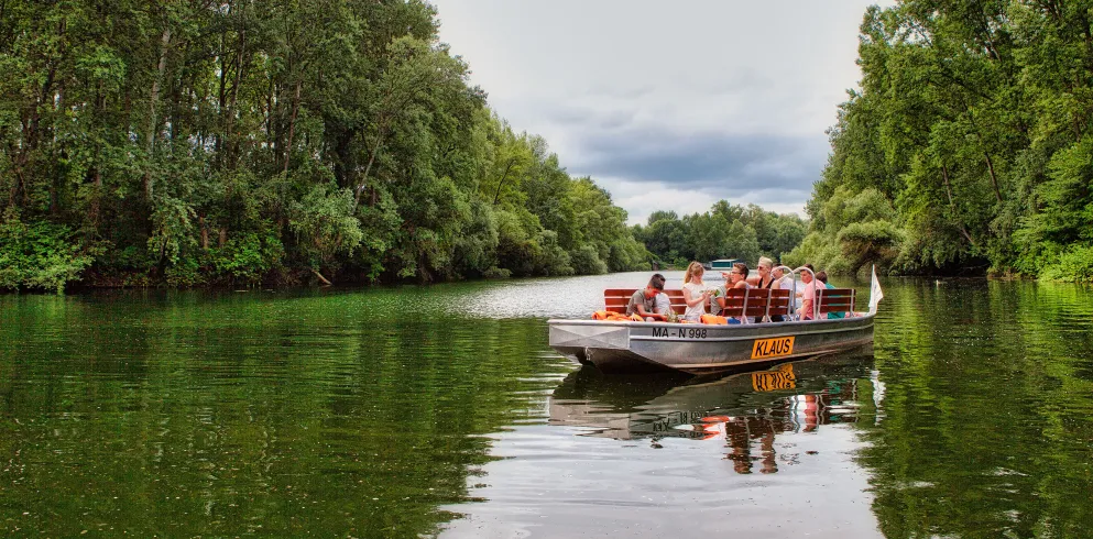 Ein Nachen mit mehreren Menschen gleitet über den idyllischen Altrhein