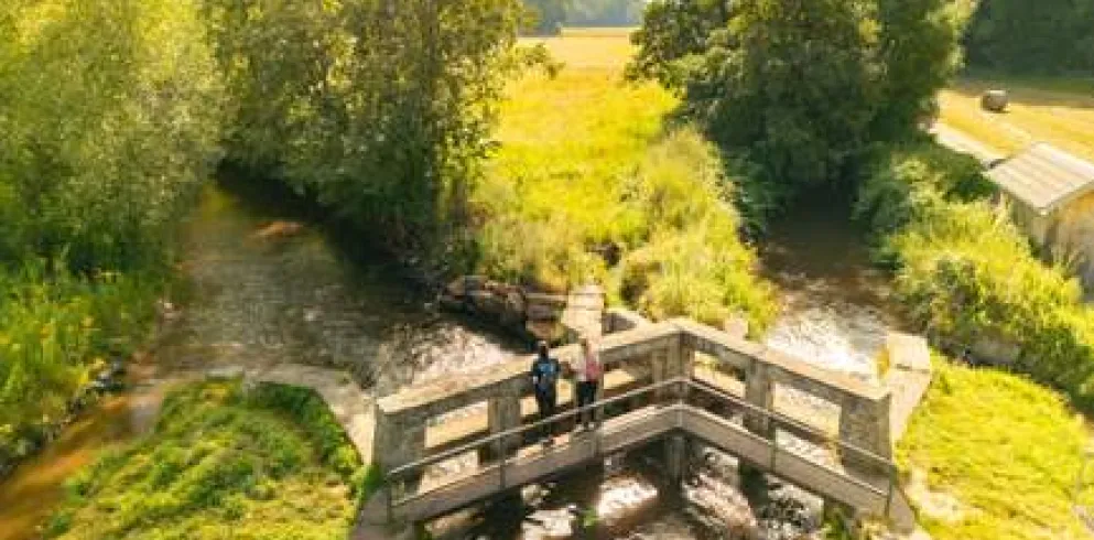 Ottersheimer Teilungswehr in den Queichwiesen