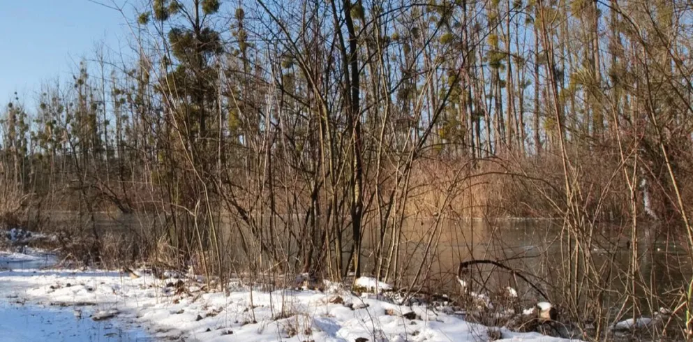 Winterflyer mit Weihnachtsmärkten und Veranstaltungen