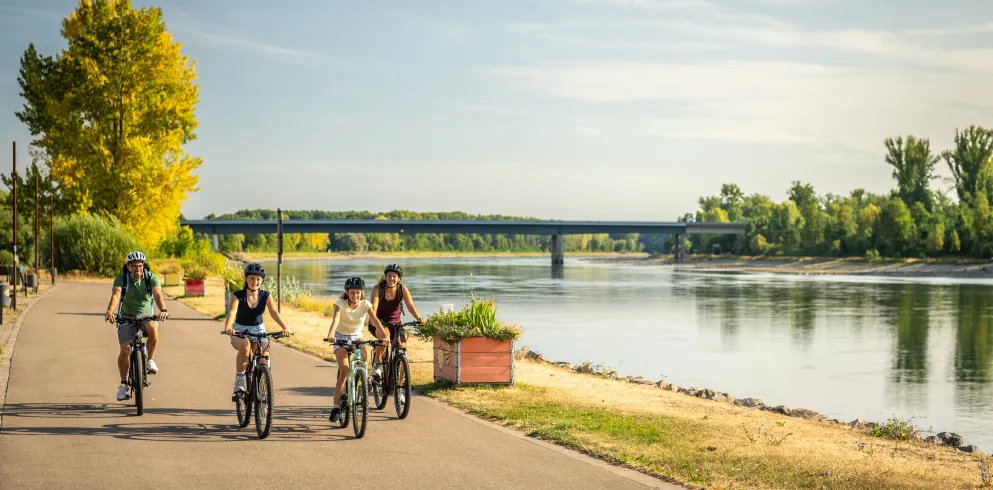 Vierköpfige Familie mit zwei Teenagern radelt entlang des Rheins