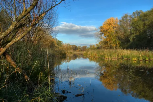 Impression vom  Fischerweg Neupotz