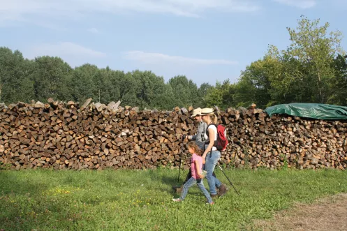 Impression vom Oberwaldweg