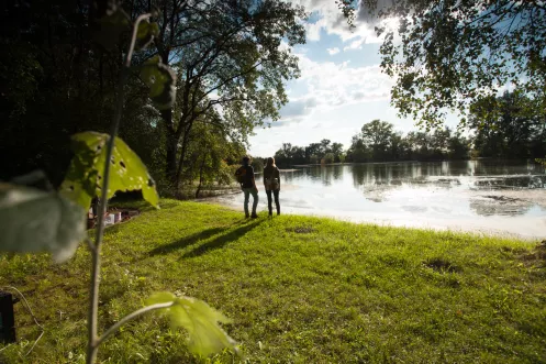 Impression vom Seepanoramaweg Rülzheim