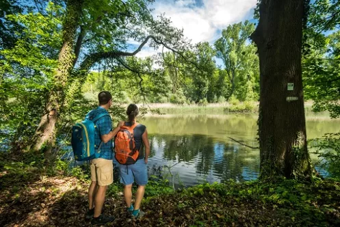 Der Treidlerweg - Premiumwandern mit Blick aufs Wasser