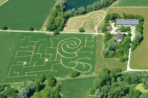 das Maislabyrinth in Leimersheim - hin finden Sie ganz leicht - und raus ...?