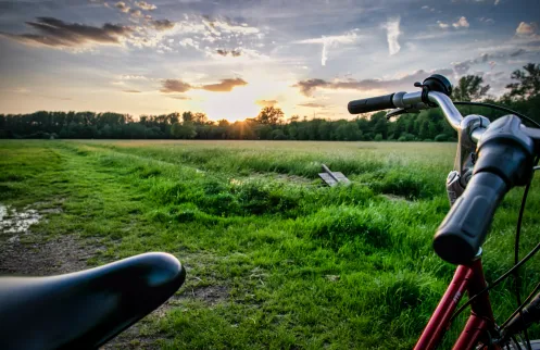 Radfahren durch die Queichwiesen