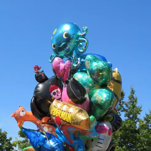 Ein Strauß bunter Ballons (© Petra Steinmetz)