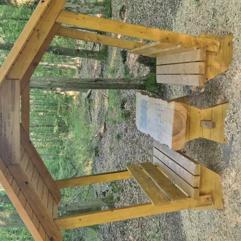 Picknickplatz im Bellheimer Wald Picknickplatz im Bellheimer Wald