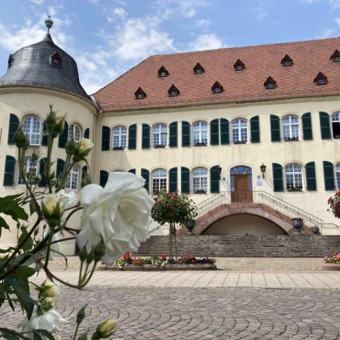 Ein schönes historisches Gebäude mit grünen Fensterläden. Im Vordergrund blühen weiße Rosen und der Platz ist mit Blumen geschmückt.