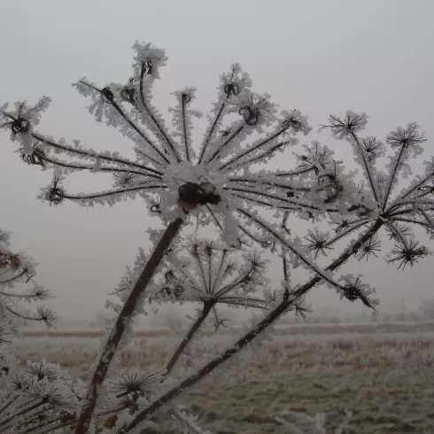 Winterspaziergang Rauhnächte Winterspaziergang Rauhnächte