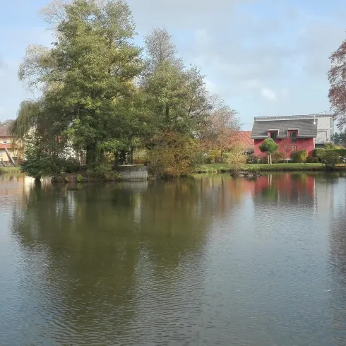 Schwanenweiher Kandel