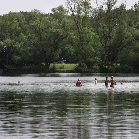 Eine ruhige Szene mit einem See, auf dem einige Personen schwimmen. Die Ufer sind von Bäumen und grünem Gras umgeben.