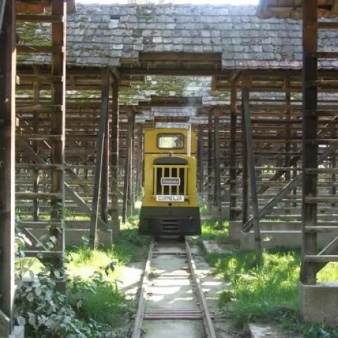 Eine gelbe Lokomotive steht auf einem Gleis zwischen rustikalen Holzstrukturen. Grüne Pflanzen und Licht fallen durch das Dach.