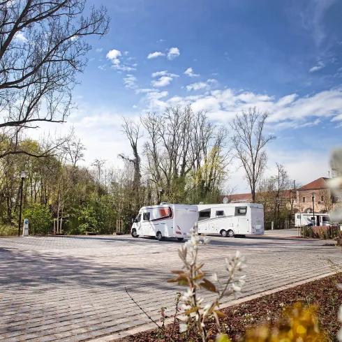 Ein Parkplatz für Wohnmobile in einer ruhigen Umgebung mit Bäumen. Der Himmel ist klar und blau.