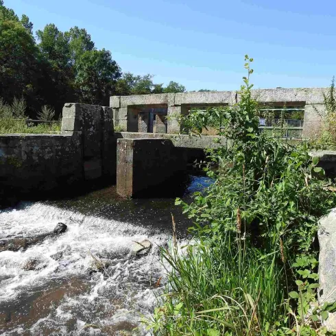 Teilungswehr mit Blick auf die Queich