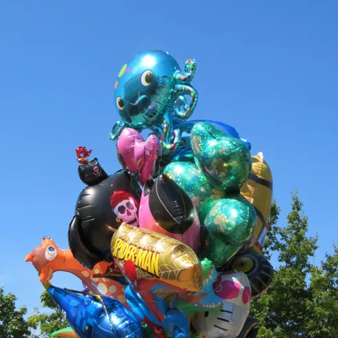 Ein Strauß bunter Ballons (© Südpfalz-Tourismus VG Bellheim, Petra Steinmetz)