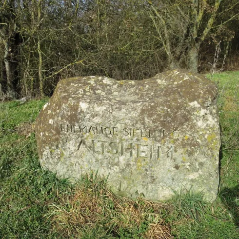Ein großer, moosbedeckter Stein liegt auf einer Wiese. Darauf ist die Inschrift „EINWANDERER STIFTUNG / ALTSHEIM“ zu sehen.