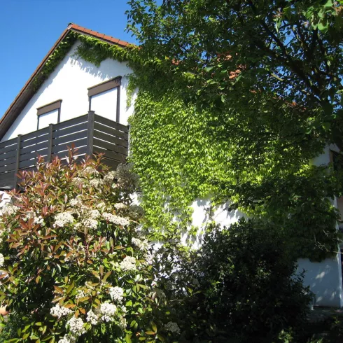 Außenansicht (© Familie Weber, Ferienwohnung Rheinzabern)