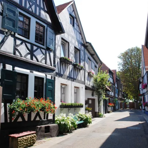 Eine malerische Straße mit Fachwerkhäusern und blühenden Blumen am Fenster. Die Sonne scheint und die Atmosphäre ist freundlich und einladend.
