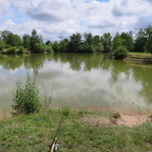 Bürgersee Zeiskam Bürgersee Zeiskam