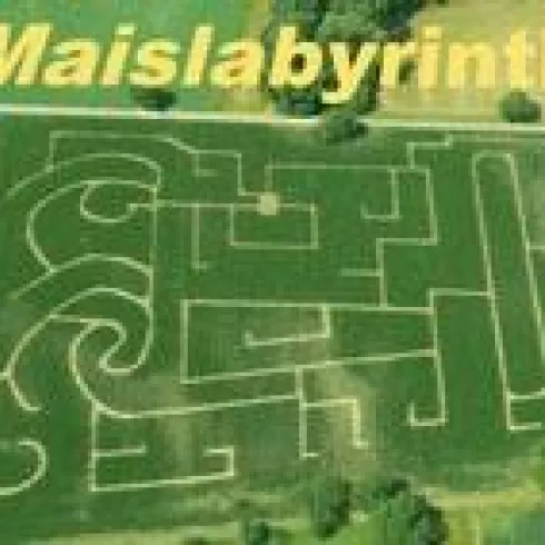 Maislabyrinth Leimersheim (© Südpfalz - Tourismus VG Rülzheim e.V.)