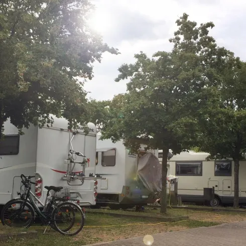 Ein Wohnmobilpark mit mehreren Wohnmobilen, umgeben von Bäumen. Im Vordergrund stehen Fahrräder, die für Erkundungstouren bereit sind.