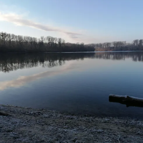 Ein ruhiger See bei Sonnenaufgang, umgeben von kahlen Bäumen. Das Wasser spiegelt den klaren Himmel und die sanften Wolken wider.